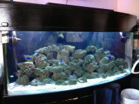 IMG_1284.jpg