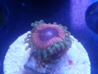 20150223_180803-1.jpg