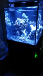 20150331_135234_resized.jpg