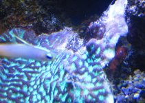 IMG_2407.jpg