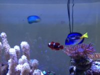 IMG_8466.JPG