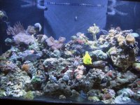 fts.jpg