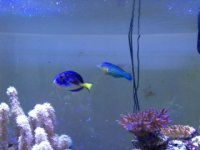 IMG_8473.JPG
