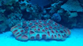 20141017_223649.jpg