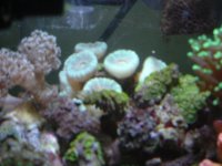 DSCF0657.JPG