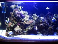 aquarium 254.jpg