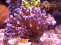 CIMG0566.JPG