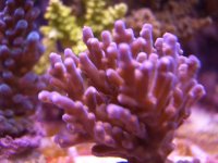 CIMG0567.JPG