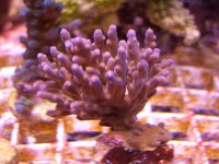 CIMG0568.JPG