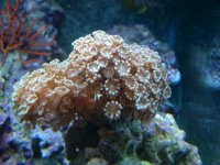 DSCN3123.jpg