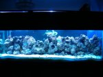 tank03.jpg