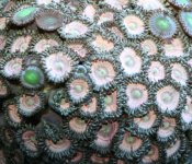 Jan 20th 2007 074 small.jpg