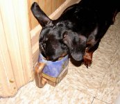 Pepper & Coffee 003-1.jpg