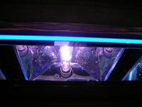 zzreefno1106 001.jpg