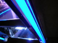 zzreefno1106 002.jpg