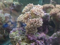 DSCN3128.jpg