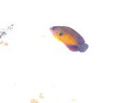 IMG_3055.JPG