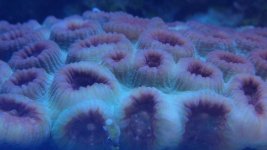 20141018_200629.jpg