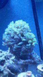 20141018_200231.jpg
