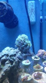 20141018_200221.jpg