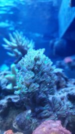 20141018_200214.jpg