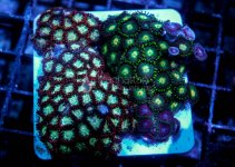 IMG_1074.jpg