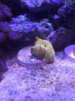 IMG_1893.jpg