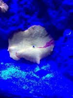 IMG_2532.jpg
