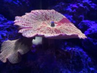 IMG_1805.jpg