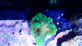 20150504_180508.jpg