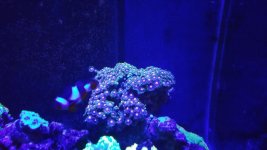 20150113_193701.jpg