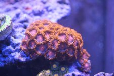IMG_9615.jpg