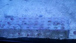 20150209_152015.jpg