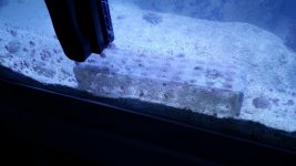 20150209_151944.jpg