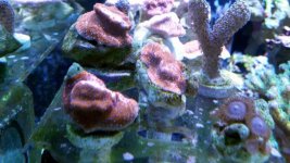 2015-02-24 14.36.26.jpg
