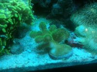 20150517_141634.jpg