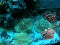 20150517_141639.jpg