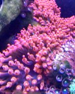 pic 3.jpg