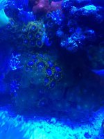 IMG_0714.jpg