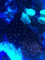 IMG_0715.jpg