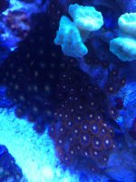 IMG_0717.jpg