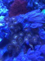 IMG_0719.jpg