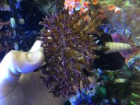 IMG_9078.jpg