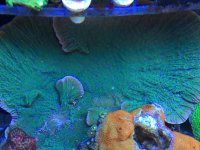 IMG_9089.jpg