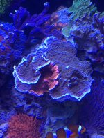IMG_0727.jpg