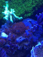 IMG_0730.jpg