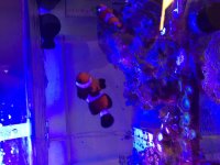 IMG_5866.jpg