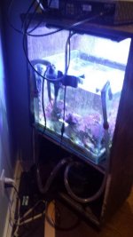 20141108_164139.jpg