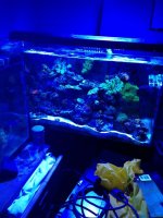 IMG_2137.jpg