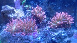 20141017_204452.jpg